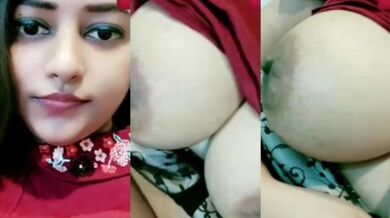 Pretty Delhi student shows perfect nude boobs to her senior